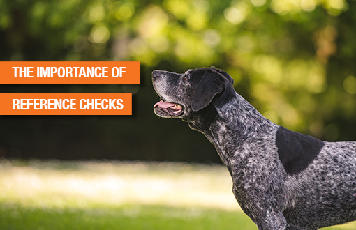 The importance of reference checks