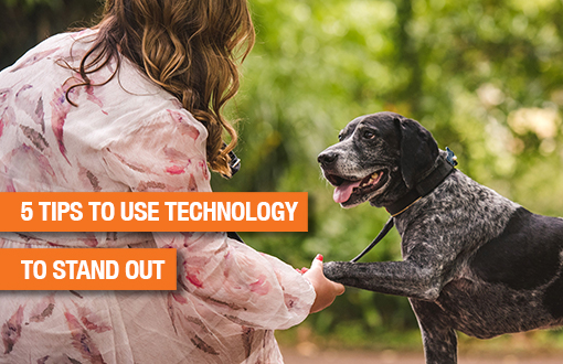 5 ways to embrace technology and stand out in a crowded job market