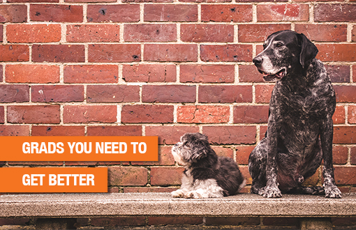 Grads, you need to get better....